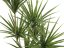 Umělá květina - Palma Yucca, 130cm
