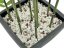 Umělá květina - Bambus v černém květináči, 120 cm