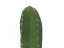 Umělá květina - Mexický kaktus zelený, 97 cm