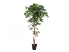 Umělá květina - Ficus longifolia, 165cm