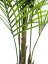 Umělá květina - Areca palma s velkými listy, 165 cm