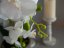 Umělá květina - Orchidej s bílými květy, 80 cm