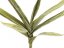 Umělá květina - Větvička yucca (EVA), zelená,