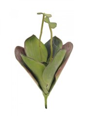 Umělá květina - Leknín zelený, zavřený, 45 cm