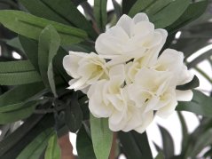 Umělá květina - Oleandr bílý, 120 cm
