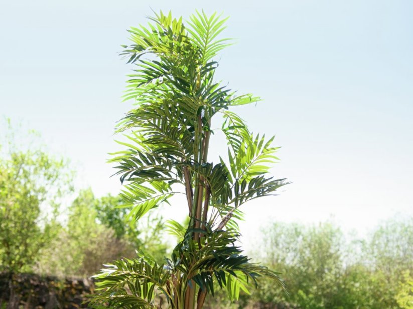 Umělá květina - Palma Parlor, 150cm