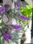 Umělá květina - Kvetoucí girlanda, růžová,180 cm