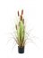 Umělá květina - Typha angustifolia, 120 cm