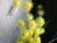 Umělá květina - Okrasná tráva v květináči, 122 cm