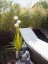 Umělá květina - Okrasný česnek s bílými květy, 120 cm